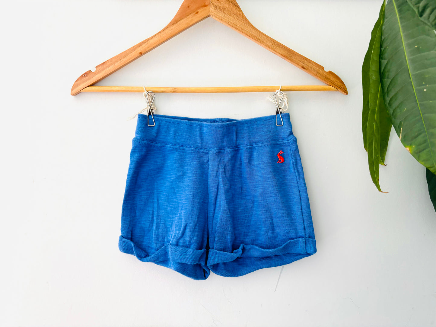 The Joules Shorts (Size 5)