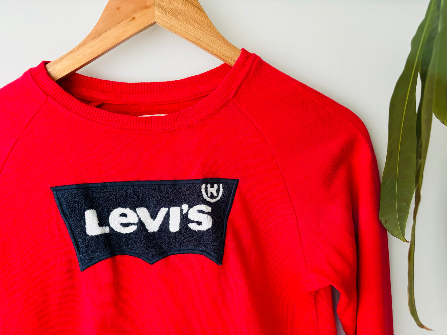 The Levi’s Jumper (Size 10)