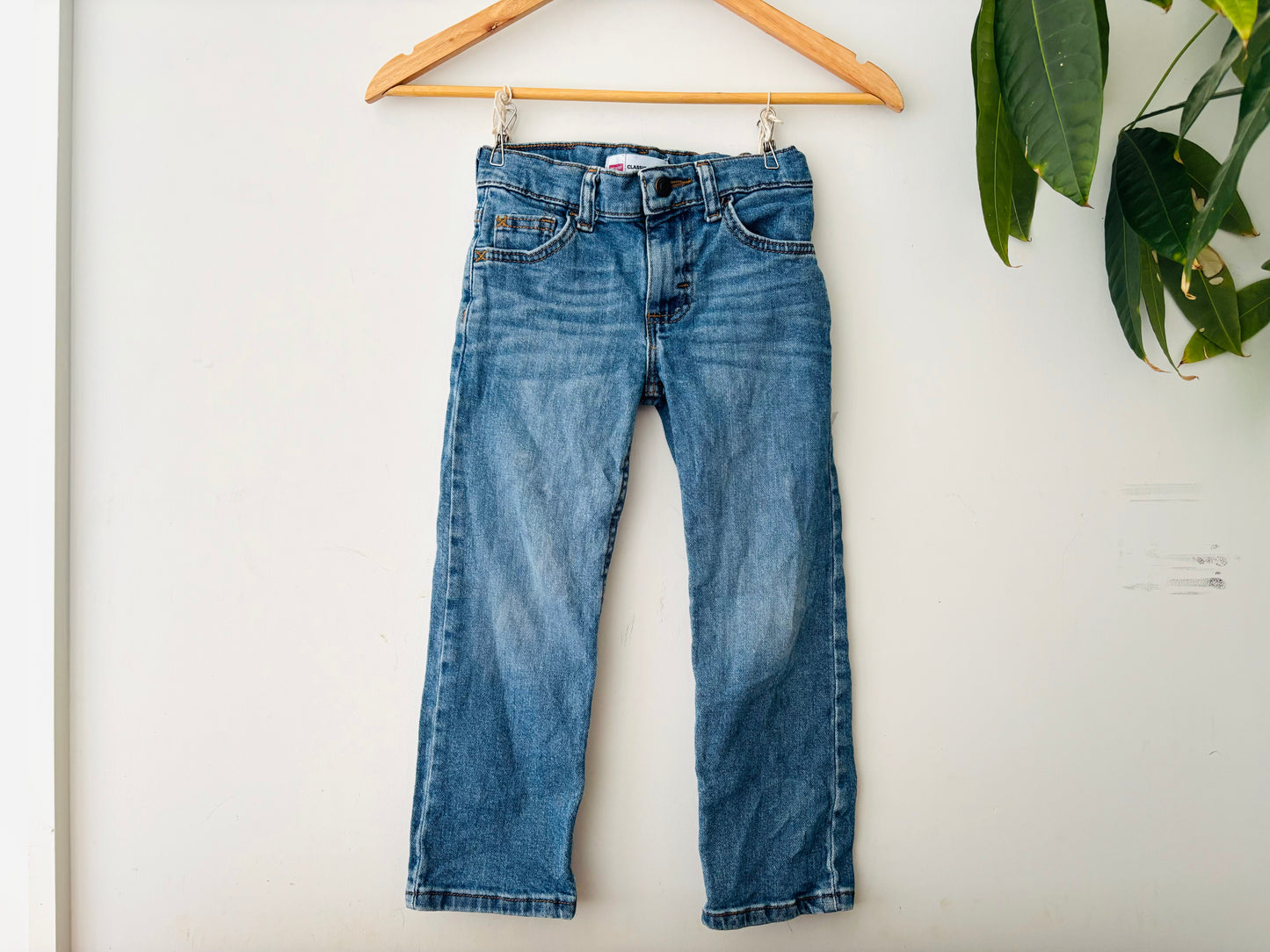 The Wrangler Jeans (Size 4)