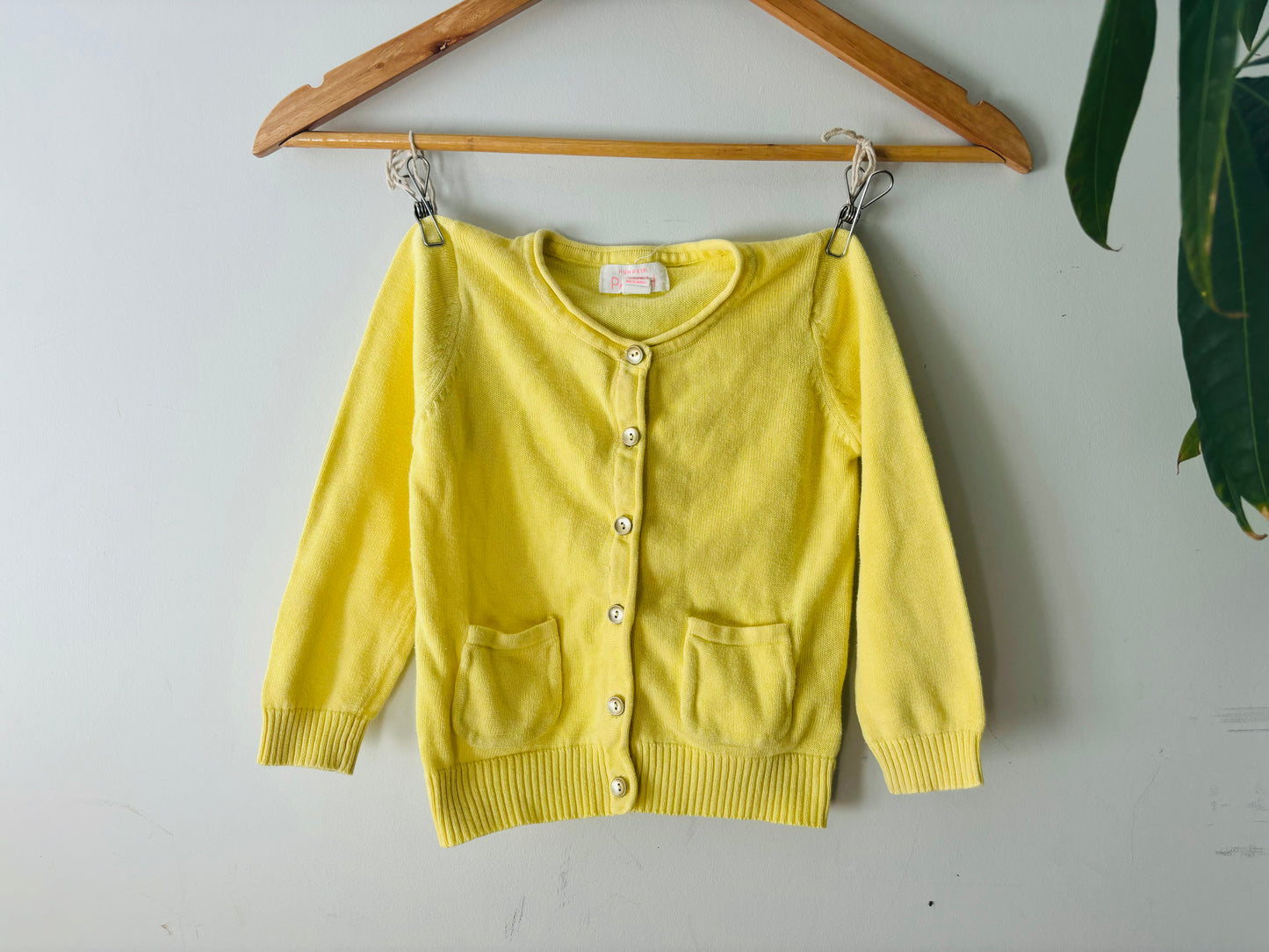 The Lemon Cardy (Size 2)