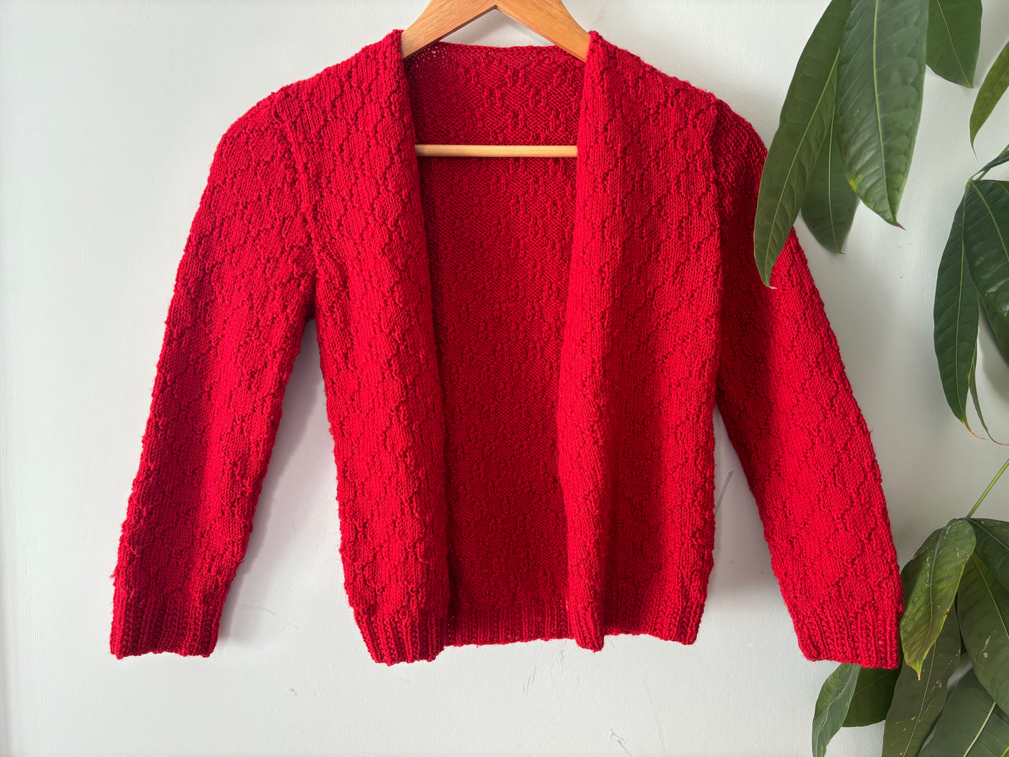 The Ruby Red Cardigan (Size 8)