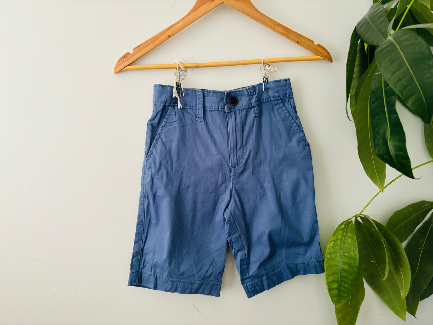 The Oshkosh Shorts (Size 7)