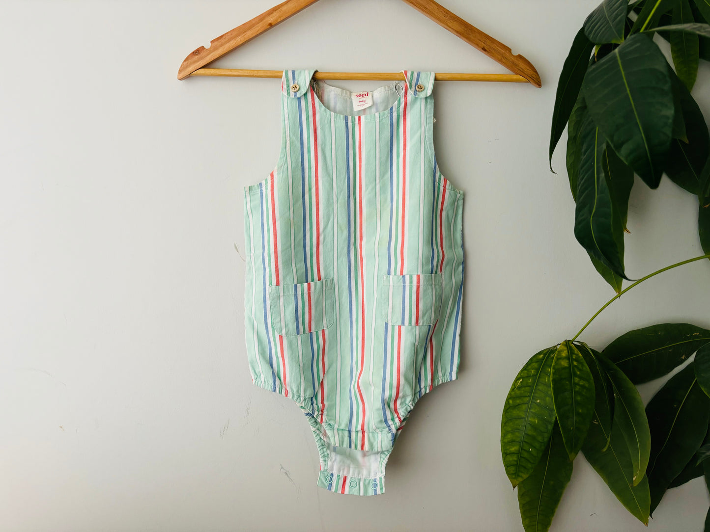 The Seed Romper (Size 1)