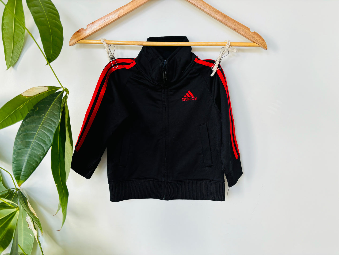 The Adidas Jacket (Size 1)