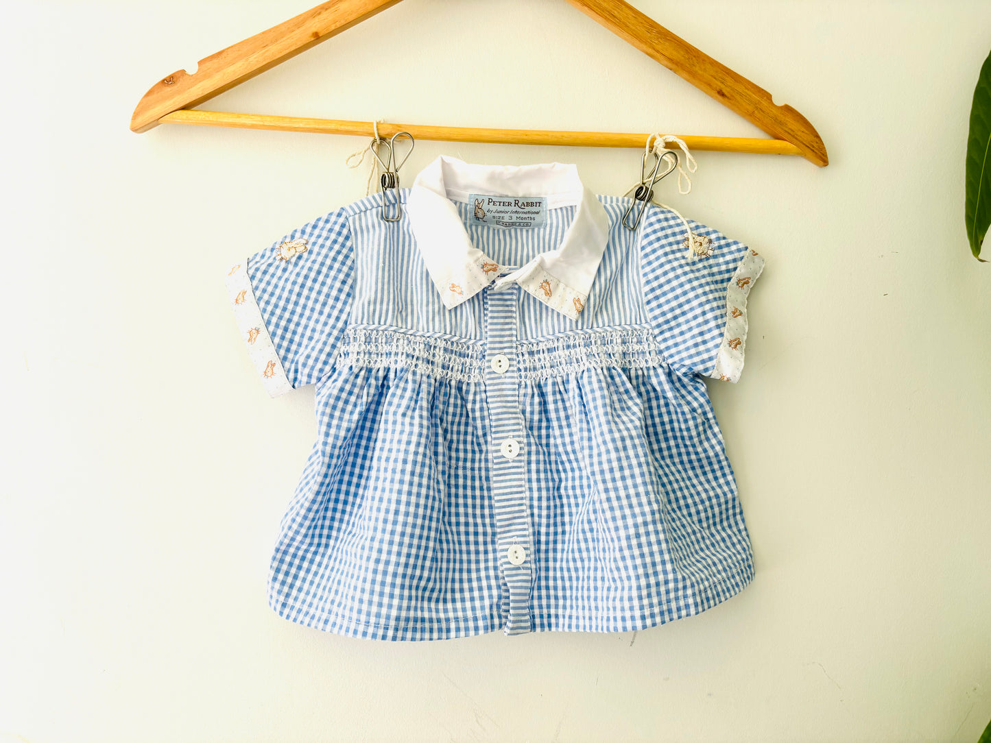 The Peter Rabbit Top (Size 3m)