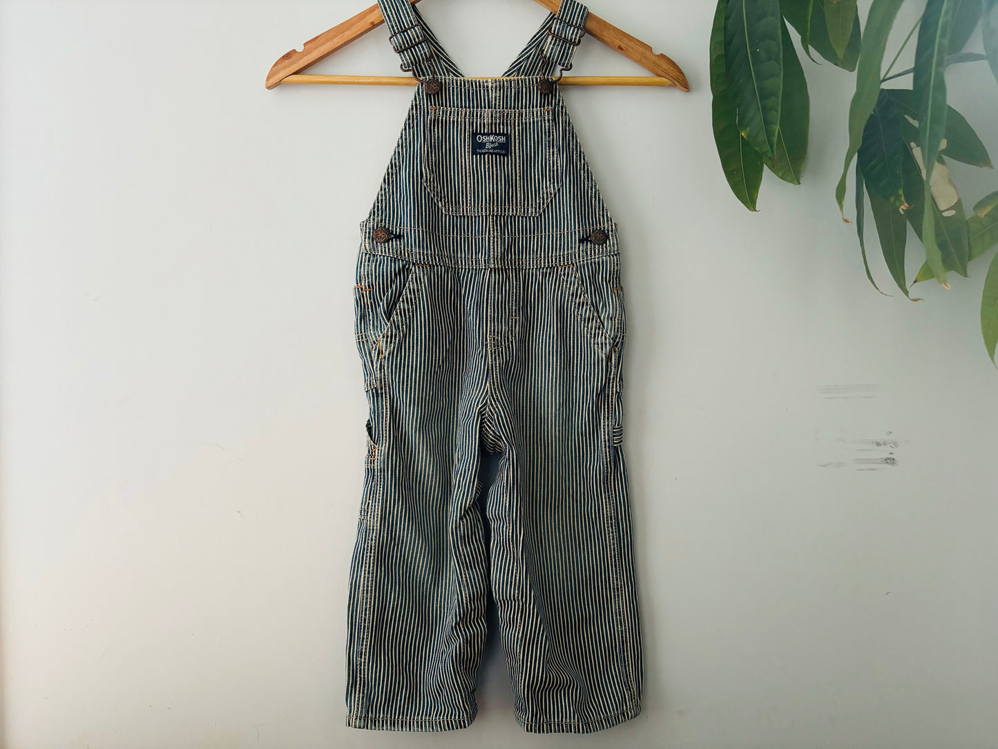 The Pinstripe Oshkosh Overall (Size 2)