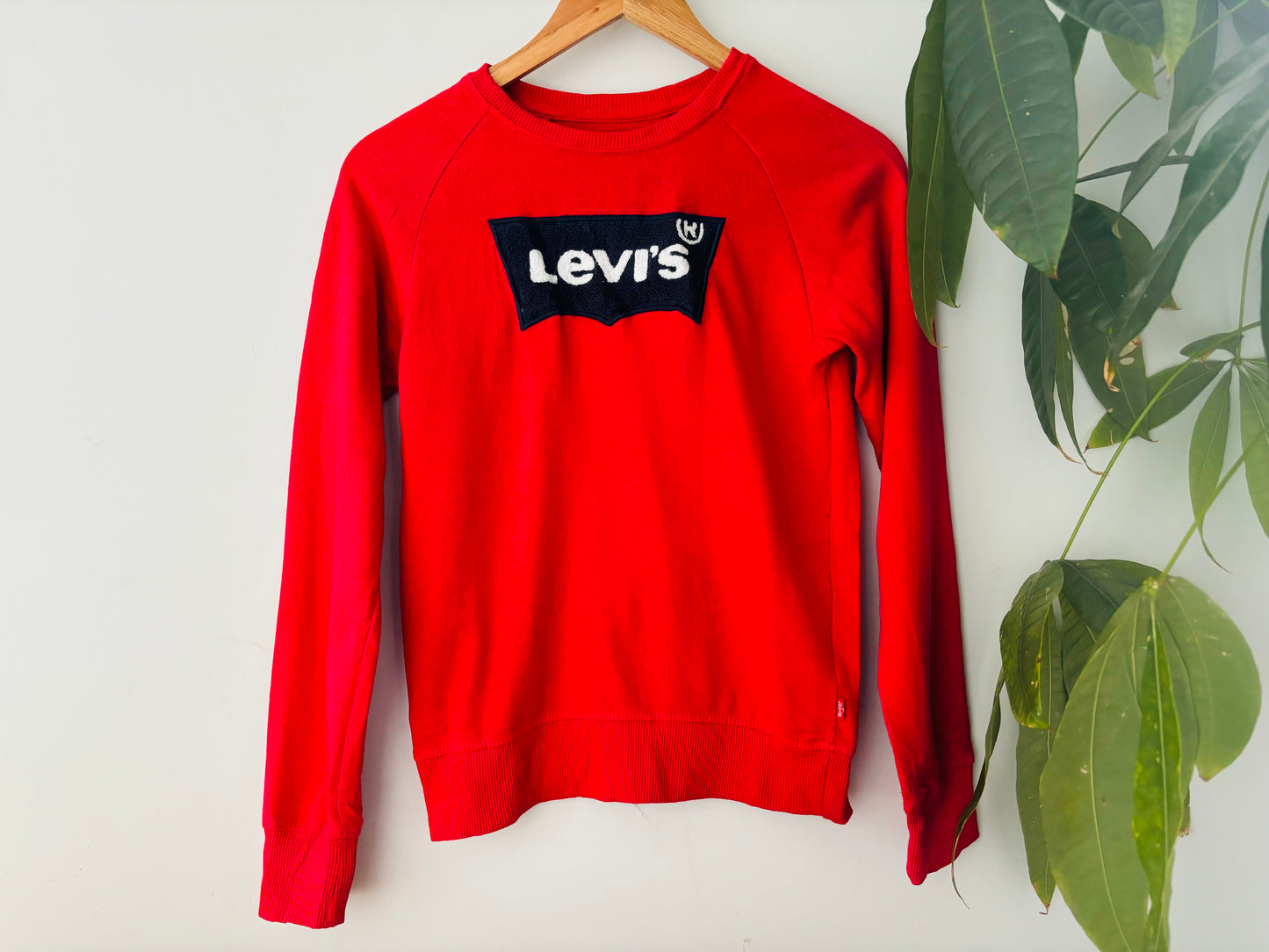 The Levi’s Jumper (Size 10)