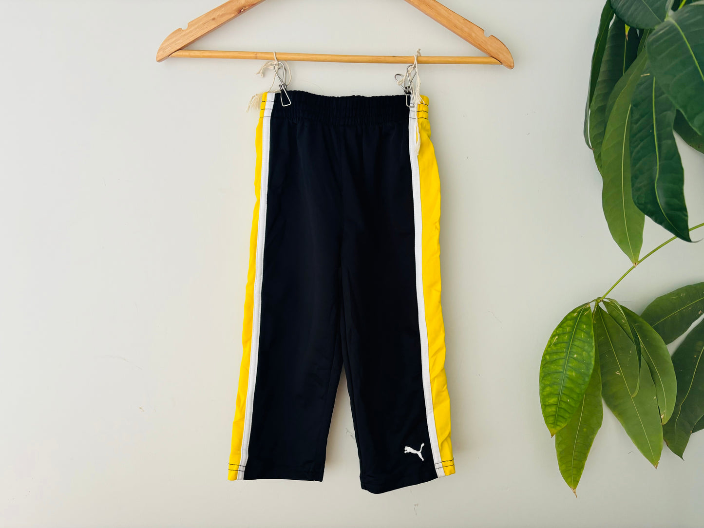 The Puma Pants (Size 2)