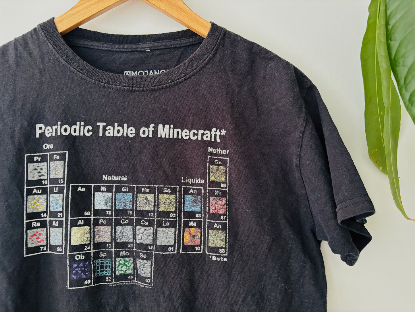 The Minecraft Tee (Size 8)